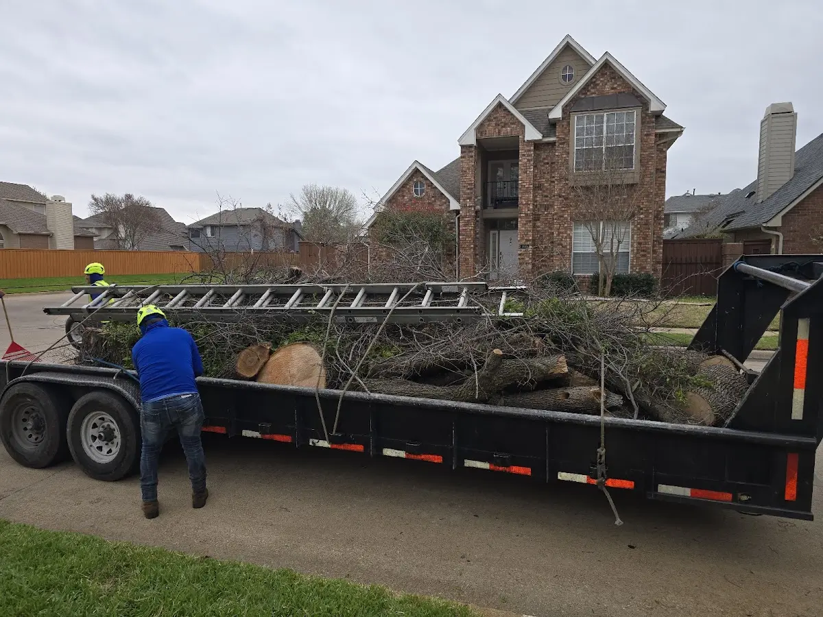 Expert Crown Reduction with proper safety equipment in Bastrop